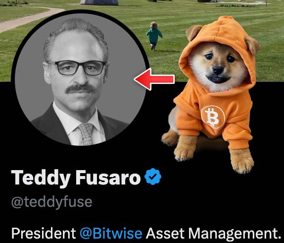 KorexLabs's tweet photo. I WANT EVERY $DOG HOLDER IN @TEDDYFUSE COMMENTS EVERY DAY UNTIL WE HAVE A $DOG ETF‼️ https://t.co/6Wh9vy4HEi