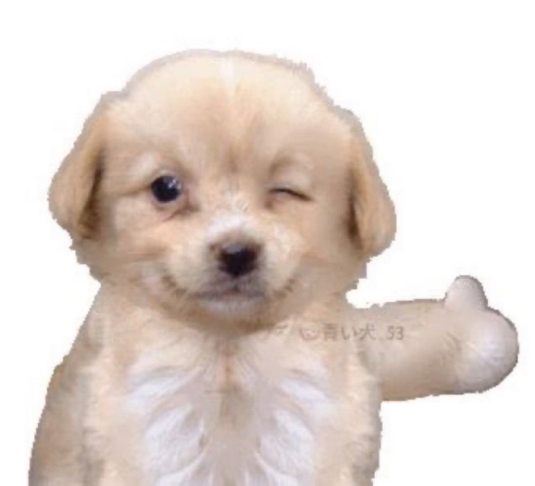 trdoghouse's tweet photo. 뭐야
이거자네 https://t.co/vrN9eWX72T