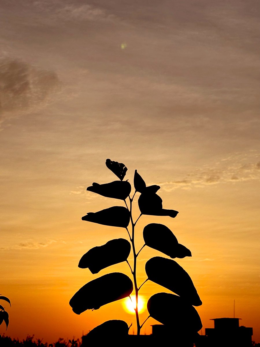 dvihangco1111's tweet photo. @niileshraichura https://t.co/Nm8kRl2rHJ