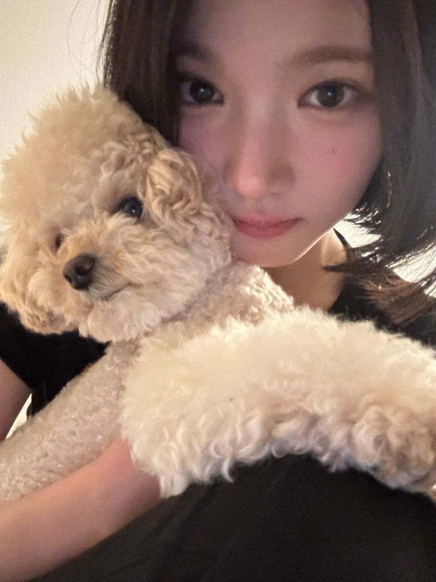 sacnnicte's tweet photo. fluffy therapy. https://t.co/UwXBXTGBRb