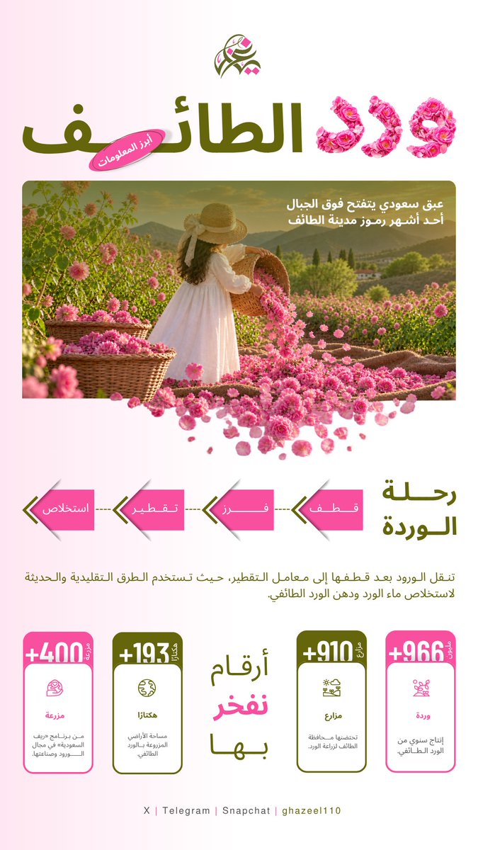 Ghazeel110's tweet photo. أنجزنا تطبيق اليوم الثاني بحمد الله 🤍.

#معسكرات_ستيلر https://t.co/cKqFtb36tH