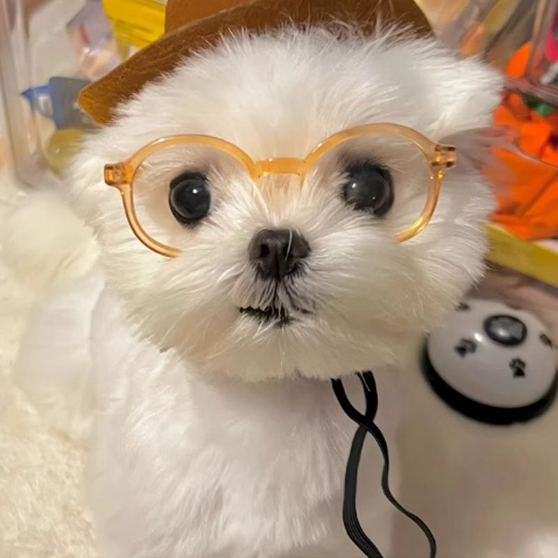 dearEli_'s tweet photo. Quit, don’t quit
Puppy, don’t puppy🐶

#YouManiacSeriesEP6 #williamjkp https://t.co/wbKX4sdO2J