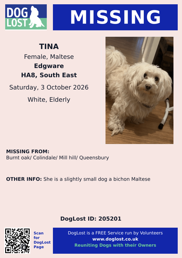 millypod1's tweet photo. 🆘3 OCT 2026 #Lost Tina #ScanMe
ELDERLY Bichon /Maltese Female
Burnt Oak/ Colindale/ Mill hill/ #Queensbury #Edgware #GreaterLondon #HA8
https://t.co/bfgJfufywL https://t.co/vwFswc66e8