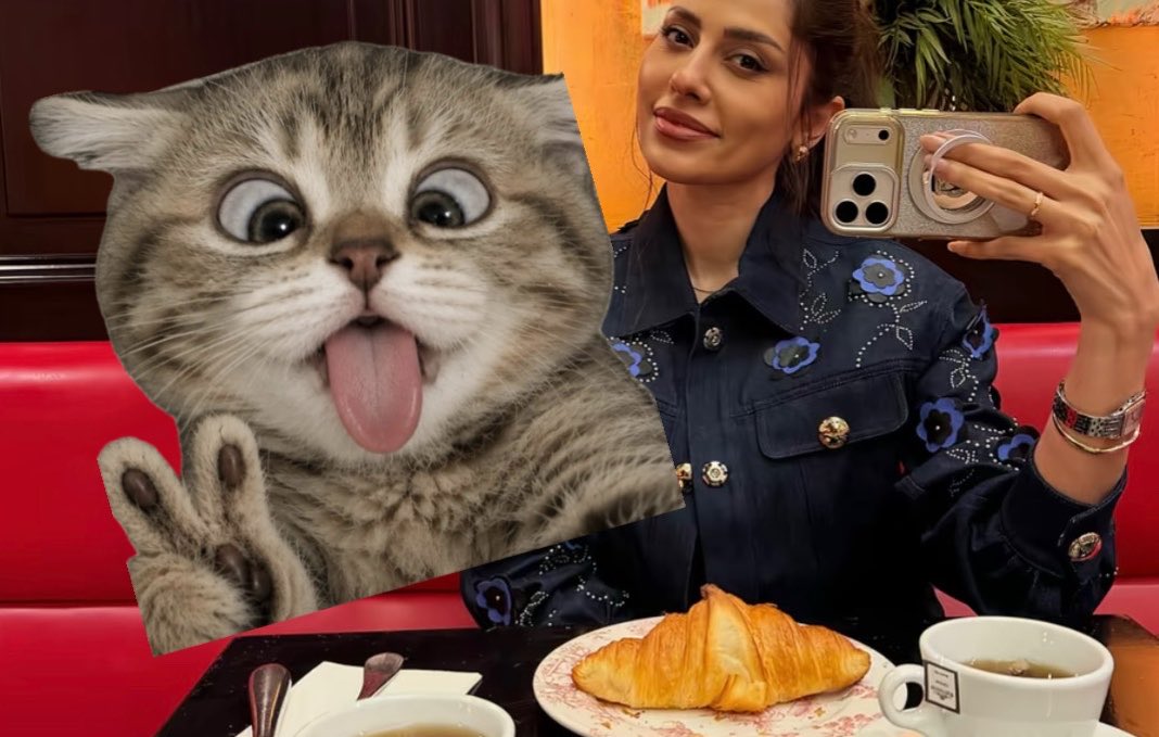 zeeeennnnoo's tweet photo. امبسسسه والله 🐈🐈🐈
مياو https://t.co/bchAC5XB4M