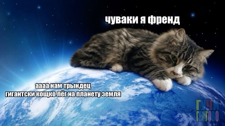 dogxeme's tweet photo. скачал твиттер из-за зарисовок и аушек в тт
блин алло чо где всо давайте общац оч крута:D https://t.co/GiqyFYGEeS
