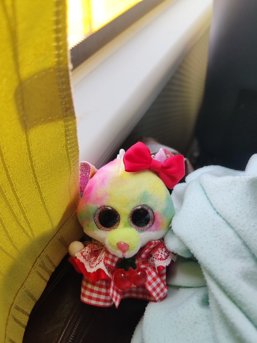 comma_1113_'s tweet photo. ちぇるち🐭✨ https://t.co/vv7JkDR54A