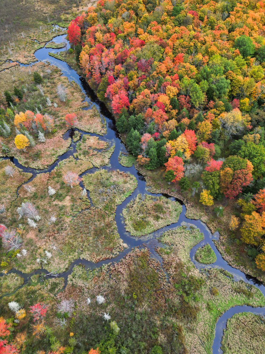 forecaster25's tweet photo. West Virginia fall color today! 🍁 https://t.co/XEBvwwhmXZ