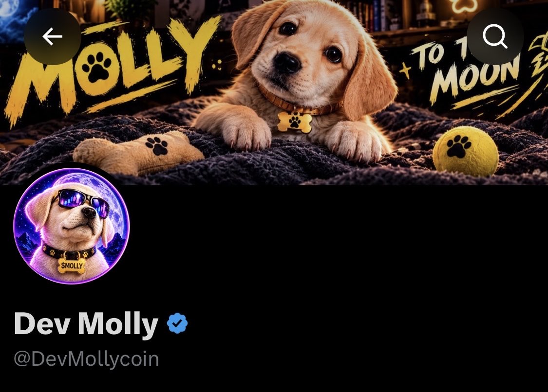 DevMollycoin's tweet photo. I bought a checkmark on X. I hope the views will be higher. https://t.co/dCCTGrW6sU