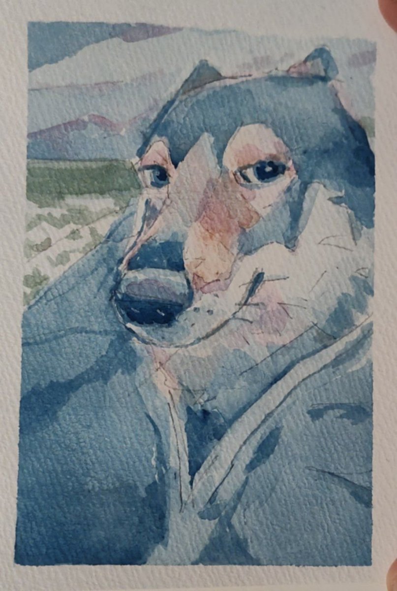 ArtKoumoh's tweet photo. happy wolf dog in watercolor

impromptu art session at the furry cafe yesterday, while awesome furiend (and smort fella) studies

more to come https://t.co/xO2GkwIR2g