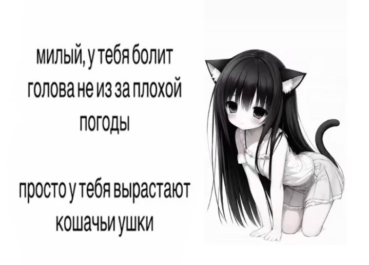 tatdemj's tweet photo. https://t.co/HoMI6QHDyH