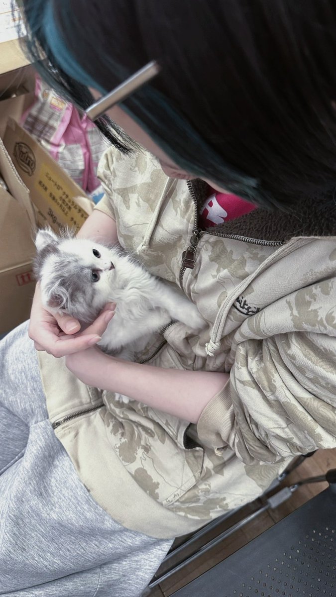 ggg_8_8's tweet photo. むいー( > <꧞)
もうすぐお家に来るの嬉しい、、、、 https://t.co/vZ4ful6hHD