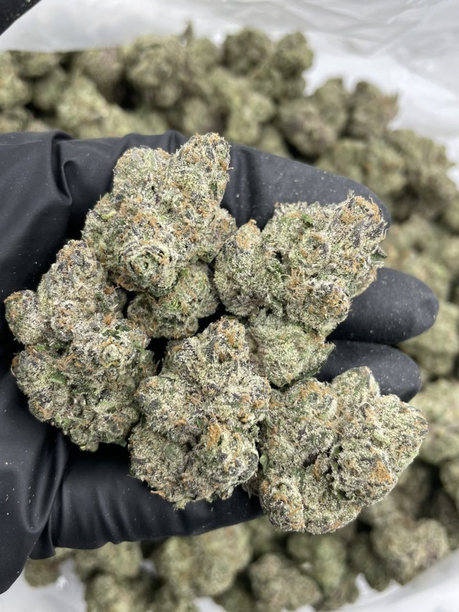 MPlug410's tweet photo. White cherry
#dmvfreaks #dmvplug #vaplugs
#bmoreplugz #dmvthots #vathots
#DMVFreeEvents #maryland #dczaman https://t.co/pjnb6b28dJ