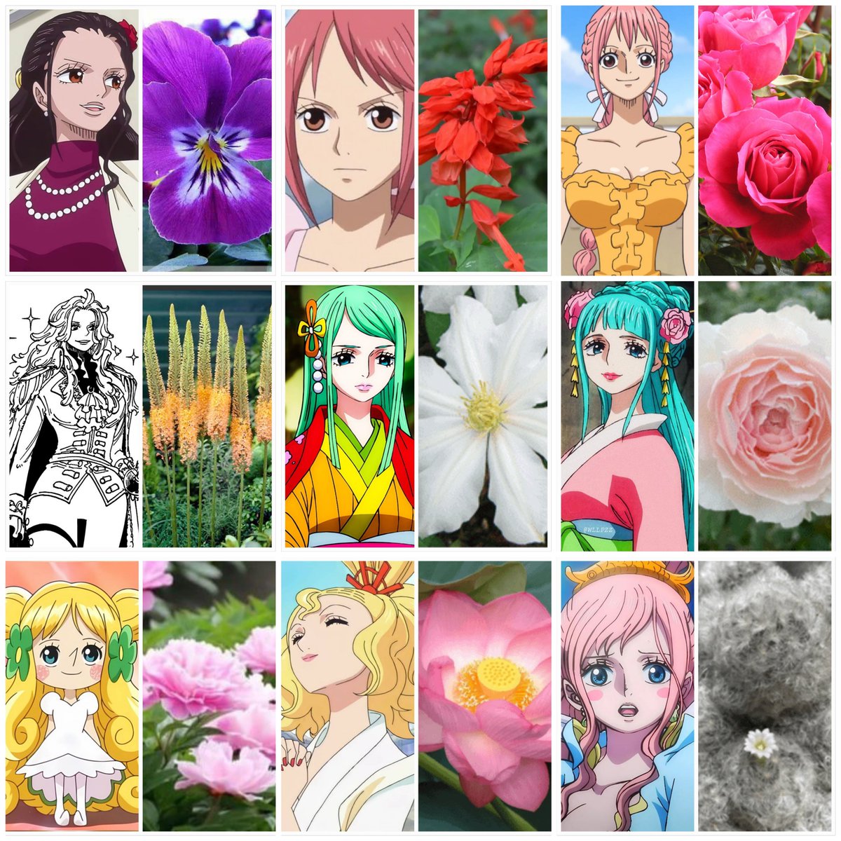 Op_MagnoliaX's tweet photo. The symbolism behind the Magnolia flower makes me wonder if her name could be another hint toward her being a princess or even a Celestial Dragon.

After all, so many princesses and queens in One Piece have flower-related names.

Could there be a connection? What do you think? 🤍 https://t.co/Pz1TQh0QoQ