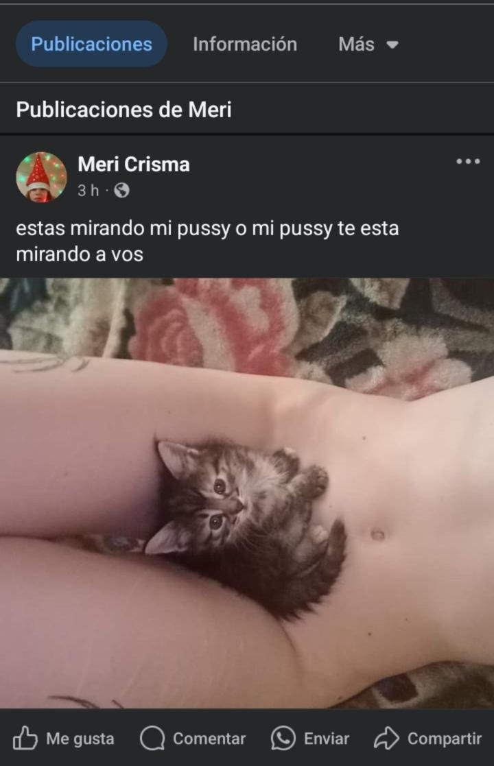 delipticus's tweet photo. @natanlord_pizza Decian que era menor cuando en realidad Soggy publico todo sobre Meri cuando Meri ya tenia 18/19 años, decian que Meri se ve joven pero es por los 500 filtros que se pone y su maquillaje pke tiene el fetiche de verse como una nen4 la zoofilica 💀 https://t.co/GJ5Vo7cGd4