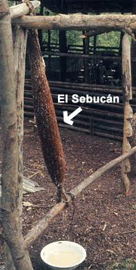 PanaCimarron's tweet photo. Tengo que mandar a hacer par de Sebucanes para prensar Yuca, uno para Casa y otro para La Finca. Yaja se la pasa sembrando Yuca por todos lados y necesita un Sebucan para hacer Casabe. Y en Casa hay Yuca y mi Sra quiere hacer Casabe y Naiboa https://t.co/5704MWjVDB
