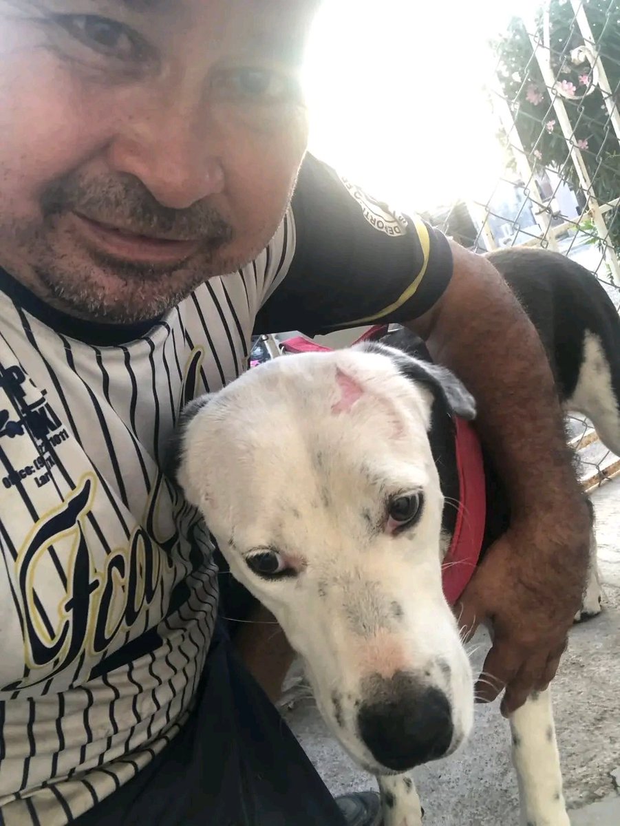 JorgeJaime_1's tweet photo. Intente  hacer una tanda no hubo respuesta estoy batallando como saben mi casa iso cortó en los cables de la luz y no tengo luz y me llega la desperacion se me junta todo aveces mañana tengo q llevar alimento a los perritos  q tengo en casa de mis papás y no quiero empeñar mi cel https://t.co/EeW4sfplFf