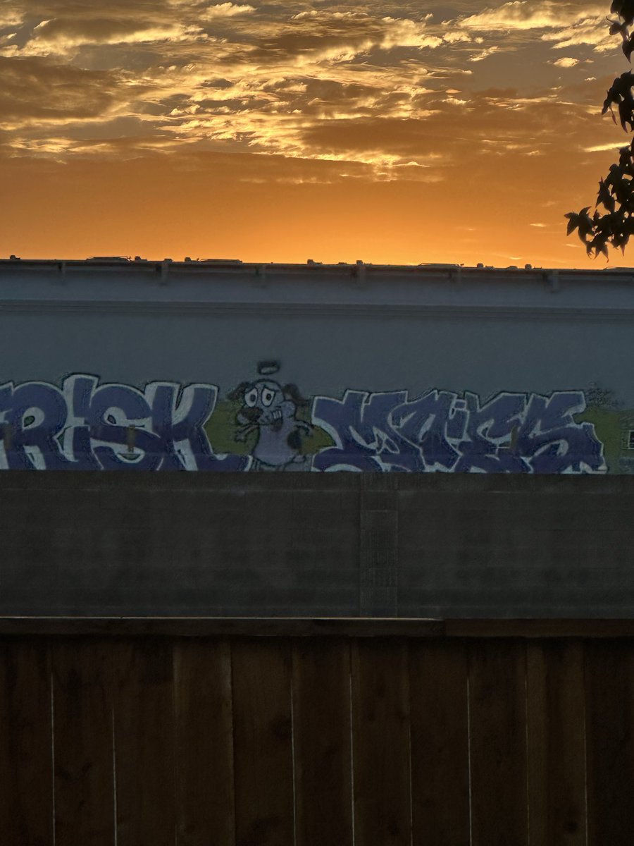 Salinasnative's tweet photo. California train  graffiti https://t.co/4AZKebemSP