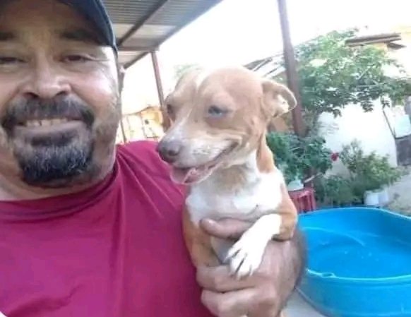 JorgeJaime_1's tweet photo. Intente  hacer una tanda no hubo respuesta estoy batallando como saben mi casa iso cortó en los cables de la luz y no tengo luz y me llega la desperacion se me junta todo aveces mañana tengo q llevar alimento a los perritos  q tengo en casa de mis papás y no quiero empeñar mi cel https://t.co/EeW4sfplFf
