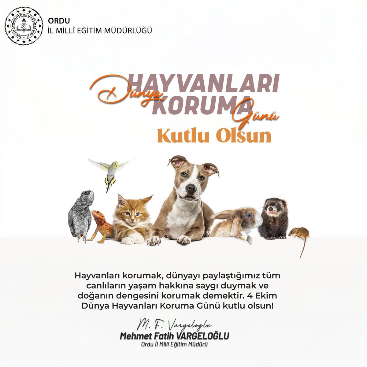 Ordu_MEM tweet picture