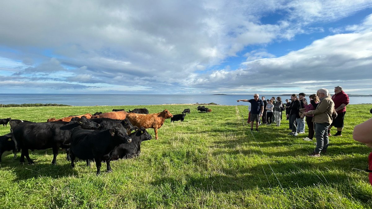 S_ERC's tweet photo. From pasture-raised beef to heritage gardens and traditional Ulster baking, almost 100 SERC students have been uncovering the food stories of Ards and North Down through the SAVOUR programme.

https://t.co/9tApt4polH

#BetterOffAtSERC https://t.co/sv6MAq881w
