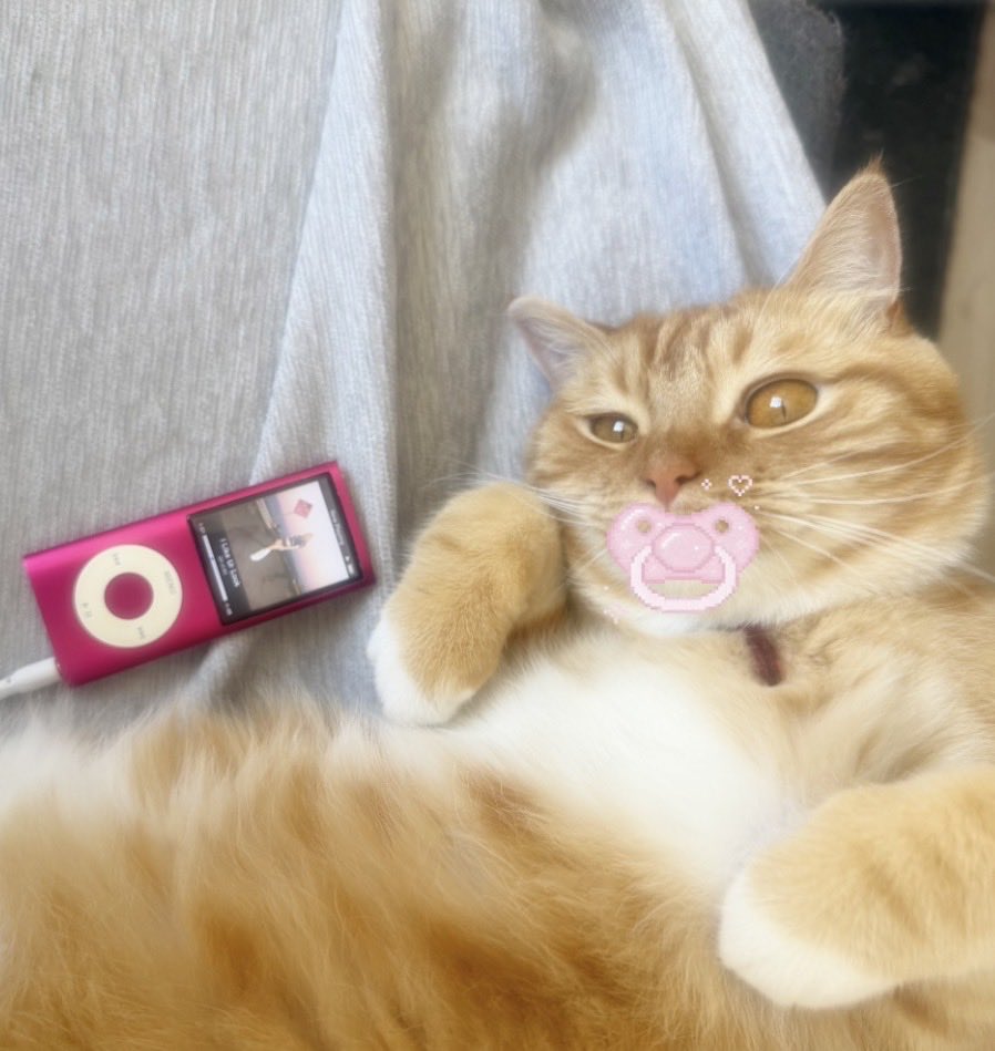 tatikunty's tweet photo. caught my disobedient ass cat healing again https://t.co/C8t3AxLYl6