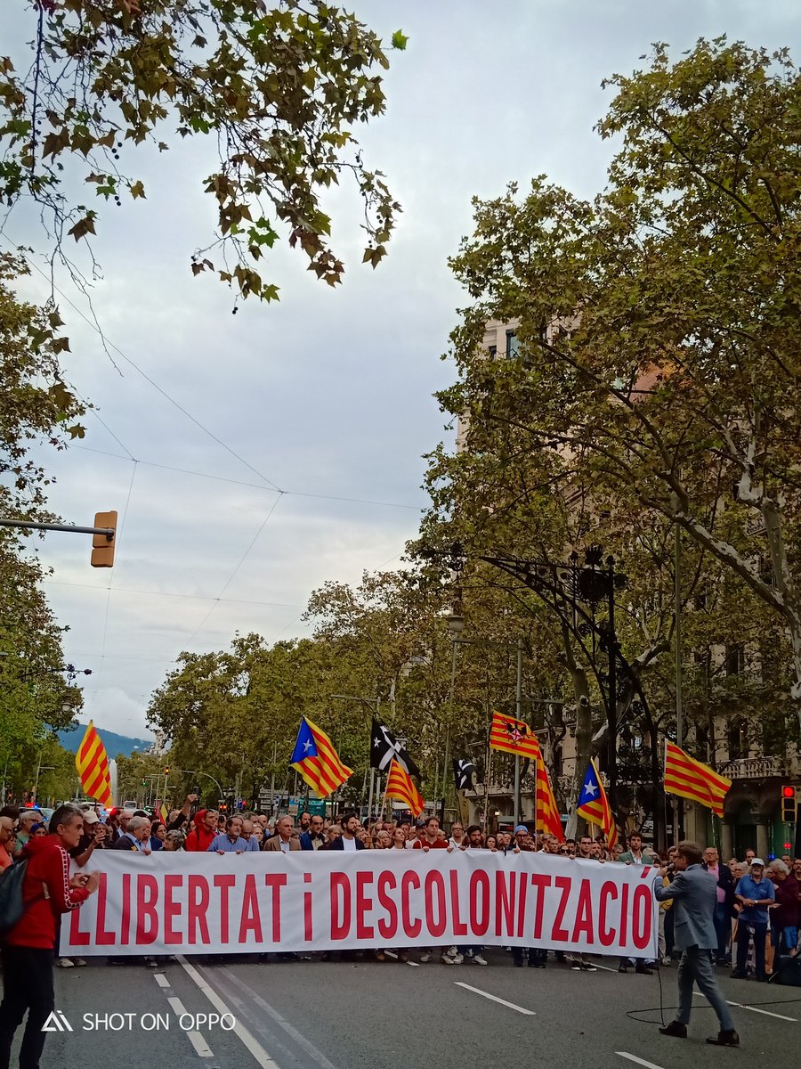 Victor_Puig_'s tweet photo. Primera manifestació fora dels canals del partits que han traït la nació. Davant del 155 demogràfic  iniciem la nostra política. Gràcies a tothom per la feina feta. Tot just comencem. https://t.co/XIwVxMkjxJ