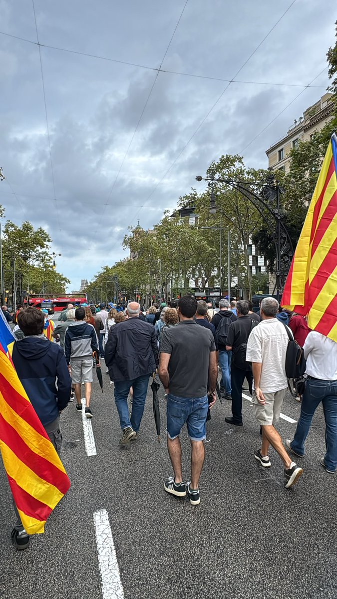 Victor_Puig_'s tweet photo. Primera manifestació fora dels canals del partits que han traït la nació. Davant del 155 demogràfic  iniciem la nostra política. Gràcies a tothom per la feina feta. Tot just comencem. https://t.co/XIwVxMkjxJ