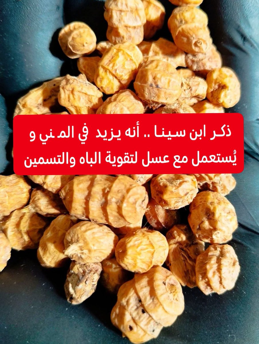 O2hf3's tweet photo. ذكر ابن سينا أنه « طيب الطعم جدا، يزيد

 في المــني كثيرا 💯 ويسمن، ويحسن اللون.» https://t.co/26hBvgjz7X