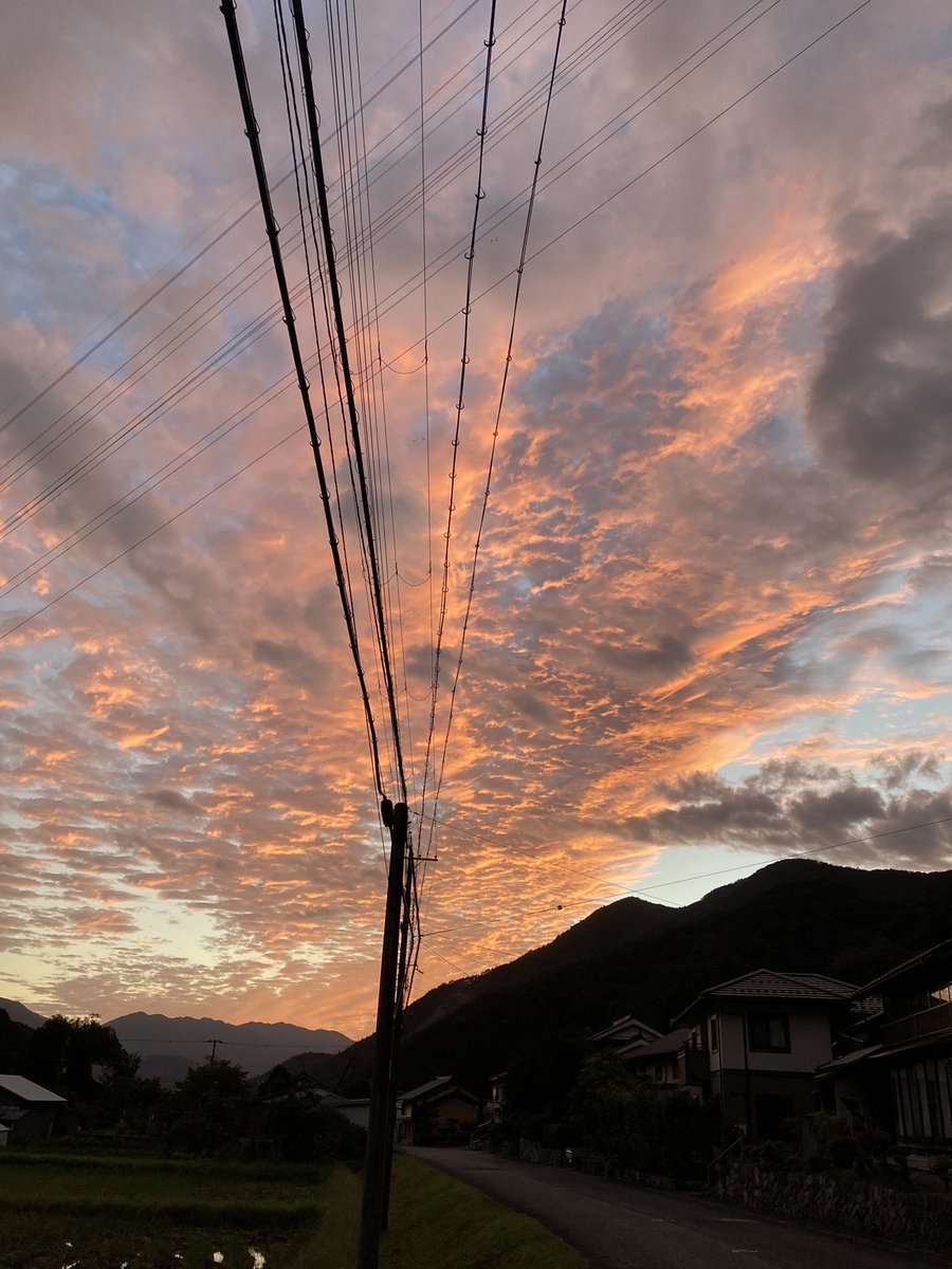 BBA2251's tweet photo. 真夜中から起きてる
フラBBAです皆様おはようございます🙇‍♀️ 日曜日ですごゆっくりして下さい仕事の方はご苦労様ですね今日も良い日であります様に行ってらっしゃいませ😊💕👋
秋の味覚栗と柿です
訪問先の池の側にいる白鷺魚狙ってる
昨日の夕日凄いよね https://t.co/hxkwO742bp