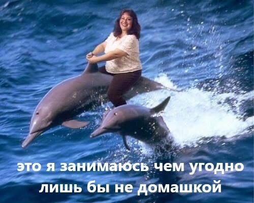 linscret's tweet photo. смотрю экстрасенсов, а как вы обычно деградируете? https://t.co/C16VGpfFv2