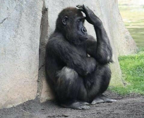 20_Disasterous's tweet photo. Kati omuntu ajewa amabiina mw'enno  empewo.
My senior @NyasHDaily a locate me https://t.co/o1B3DNCNHc