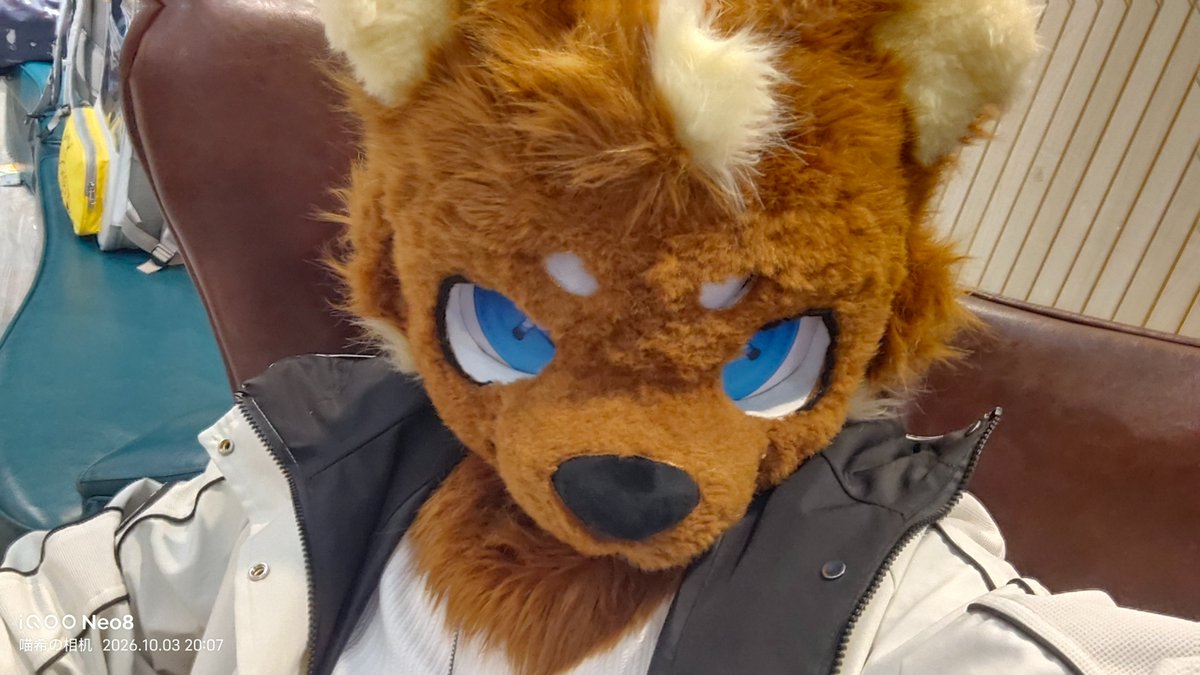 YiWan65432's tweet photo. 感觉从上往下拍就换了一个风格一样 #兽装 #Furry #Fursuit #FursuitsEveryday https://t.co/Xq2Pr4g3ku