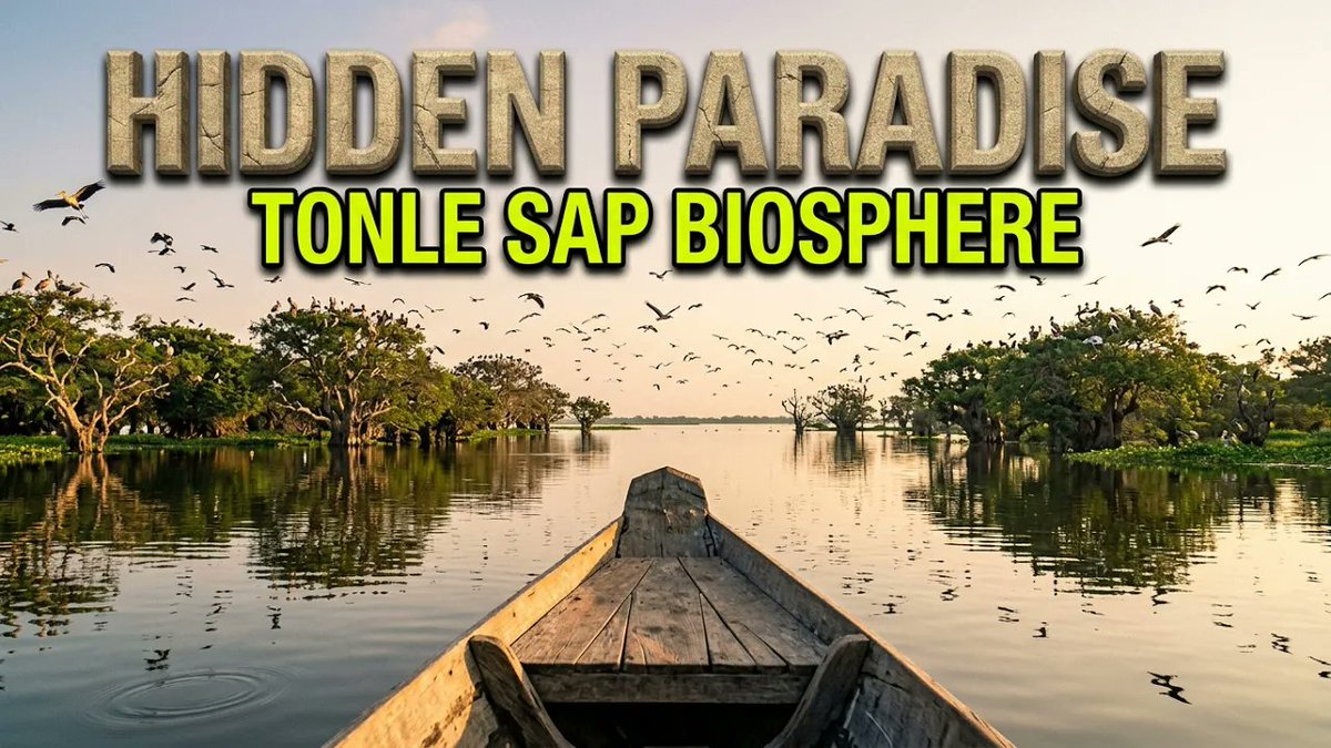 SowannaYun's tweet photo. From our archives 4 years ago! 🛶🌿Explore Prek Toal on Cambodia’s Tonle Sap Lake—Southeast Asia’s premier bird haven just beyond Siem Reap.💡 Best time to visit: October to February when massive flocks arrive to nest! https://t.co/DMQojGPJiz
#PrekToal #BirdSanctuary #TonleSap https://t.co/2UjGLwWNv1