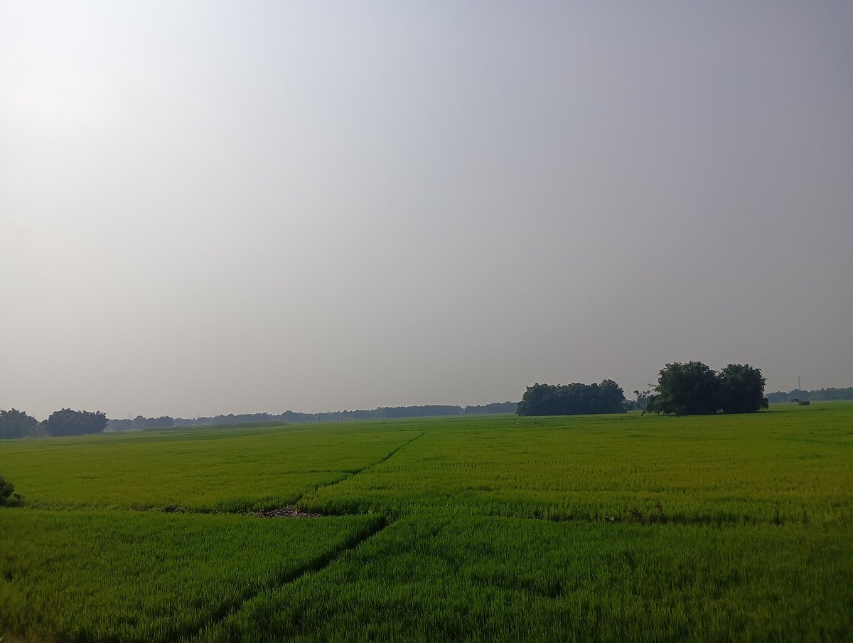 tulsipuram_view's tweet photo. 📸 https://t.co/8Kh2JTEJWg