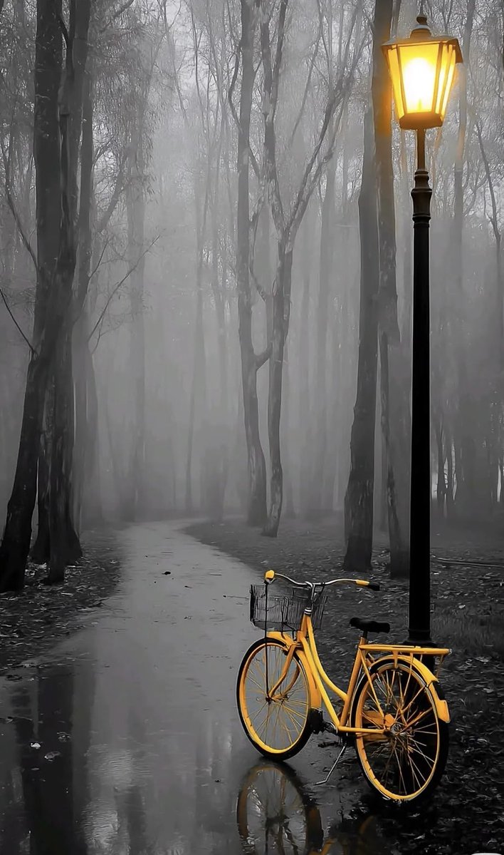 JCtootrusting's tweet photo. Monochrome worlds hold secrets shhhhhhhh
Enter a single colour and it come to life
Imagine who put that bicycle there
Was she in a hurry to meet me
Or just a simple coincidence 
I will wait in the dreamland
She may still come by
If not, I’ll call again
And again 
💛 https://t.co/MQjtVAL0t7