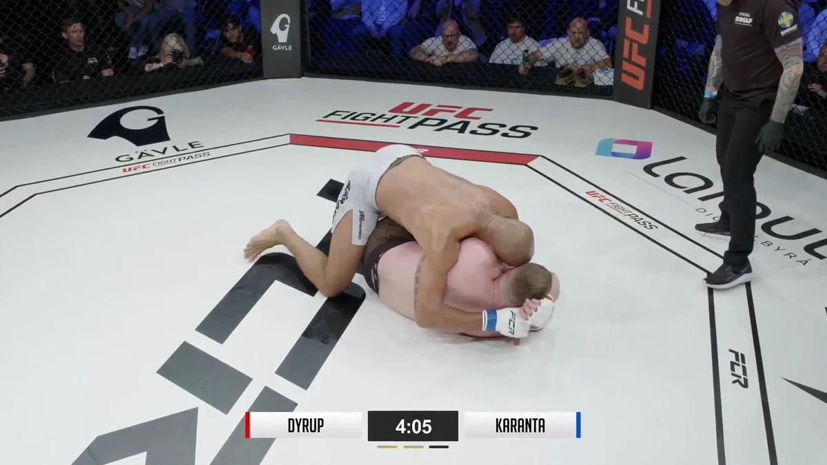 ufc ファイト パス