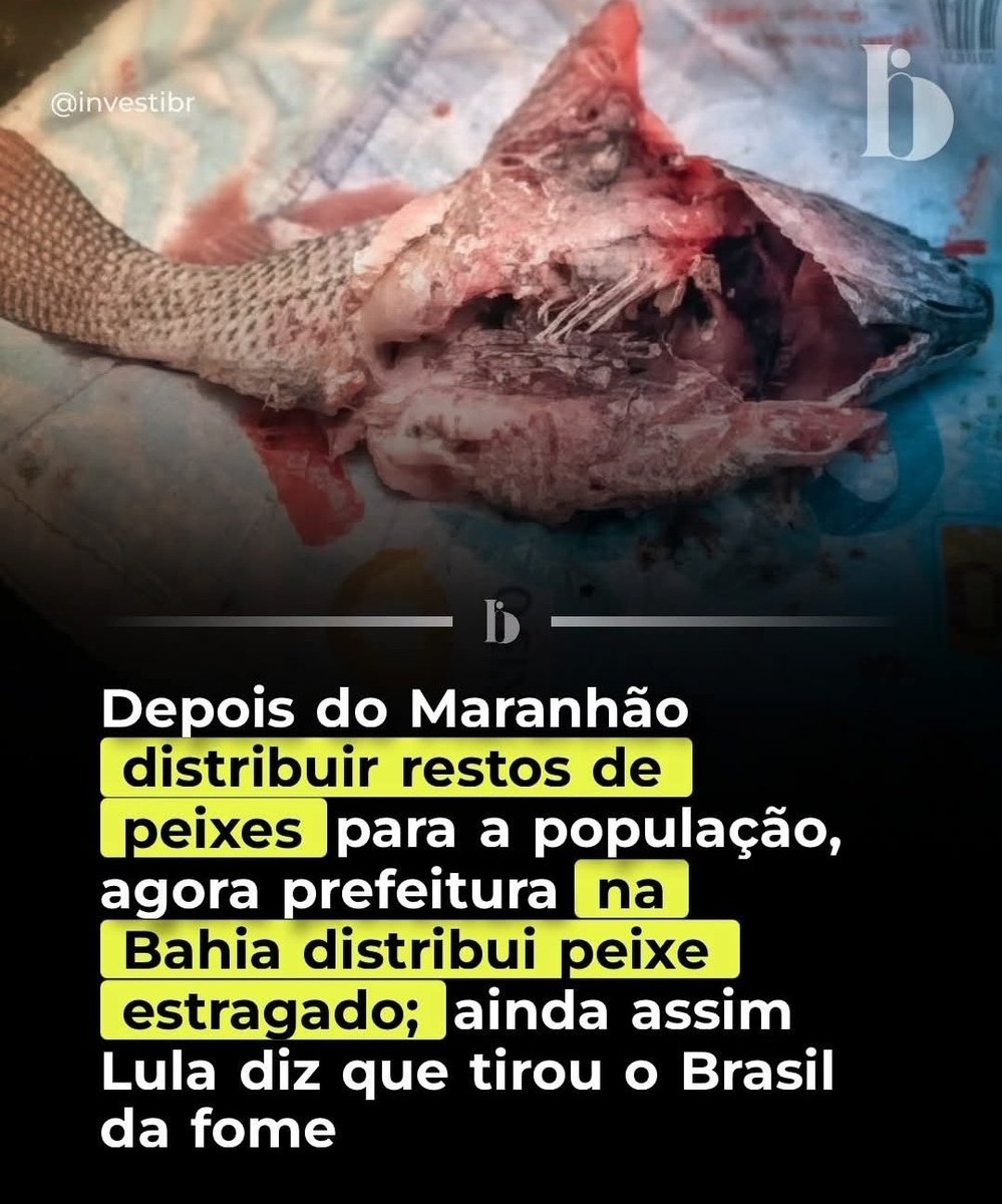 Daddy_4Men's tweet photo. @t4_tiago Lembram disso? É bem mais atual...🇧🇷👉🏻🏳️‍🌈👉🏻🇧🇷 https://t.co/LObnV2JpLF