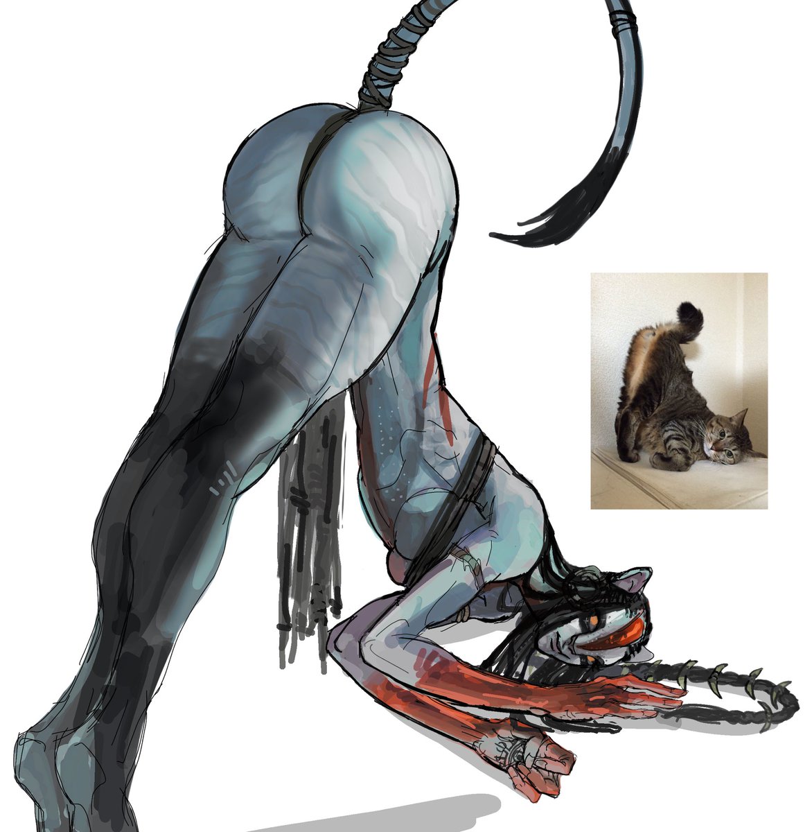 liam_nae2's tweet photo. Cat pose https://t.co/xkTm4kCBMa