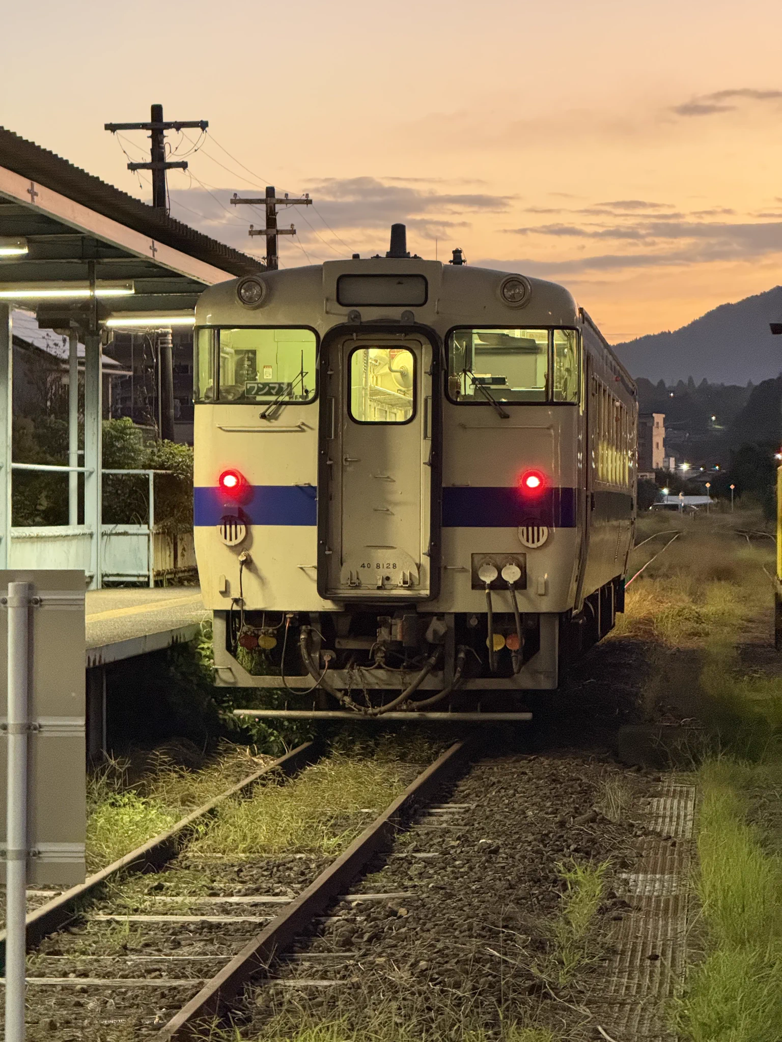 うしねこ on X: 