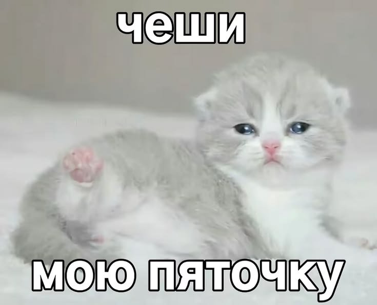 dogxeme's tweet photo. @Yariventilator их оч  многа но эт основные:р https://t.co/cwi2UWXoP9
