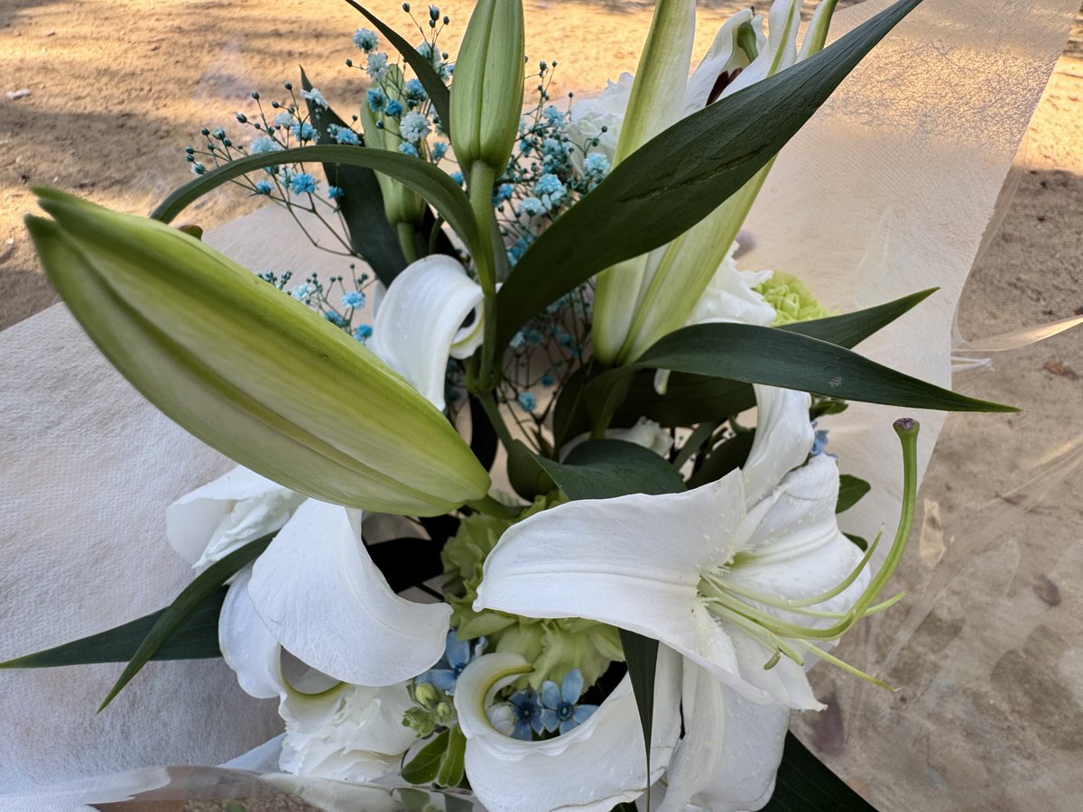 raurau_0906's tweet photo. 昨日…三ノ宮のお花屋さんで

"お悔やみの花束を作ってもらえますか
動物園の子に‥"

"王子動物園ですか？
誰か……？"

一気に涙が溢れて
"アジアゾウの‥男の子が‥"
そう答えるのが精一杯で…

"男の子らしい花束を作りますね"
優しい声でそう仰って…

素敵なお花をありがとうございました https://t.co/7AjugOWyJh