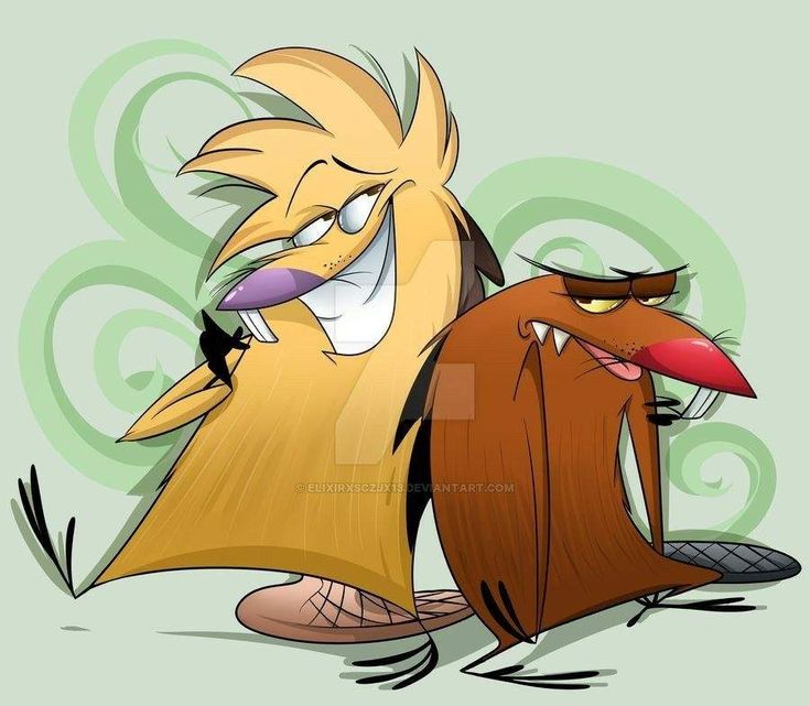 AngryBeaverNerd's tweet photo. The Aero Beavers https://t.co/Ue62vf5evC