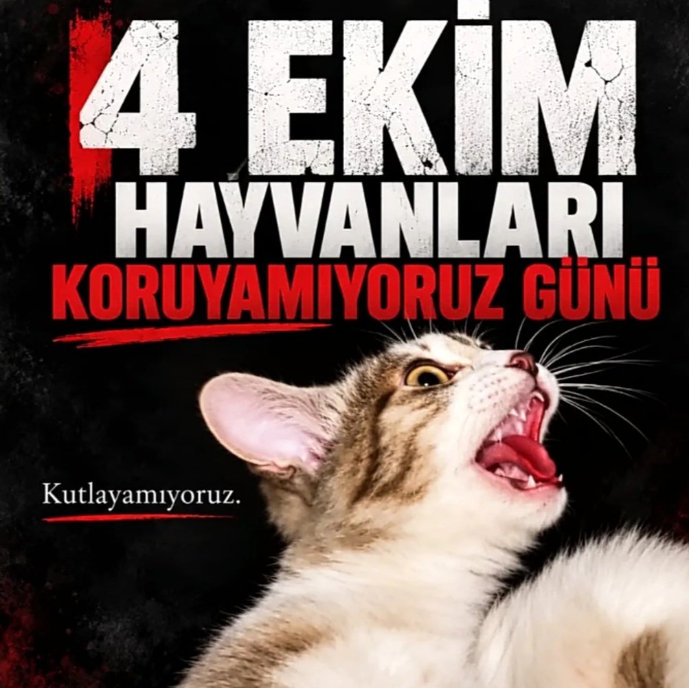 R3DCAMELLIA's tweet photo. Böyle dört ekim olmaz KUTLAMIYORUZ çünkü hayvanları KORUYAMIYORUZ
#4EkimiKutlamıyoruz https://t.co/fqzm8CB2Rd