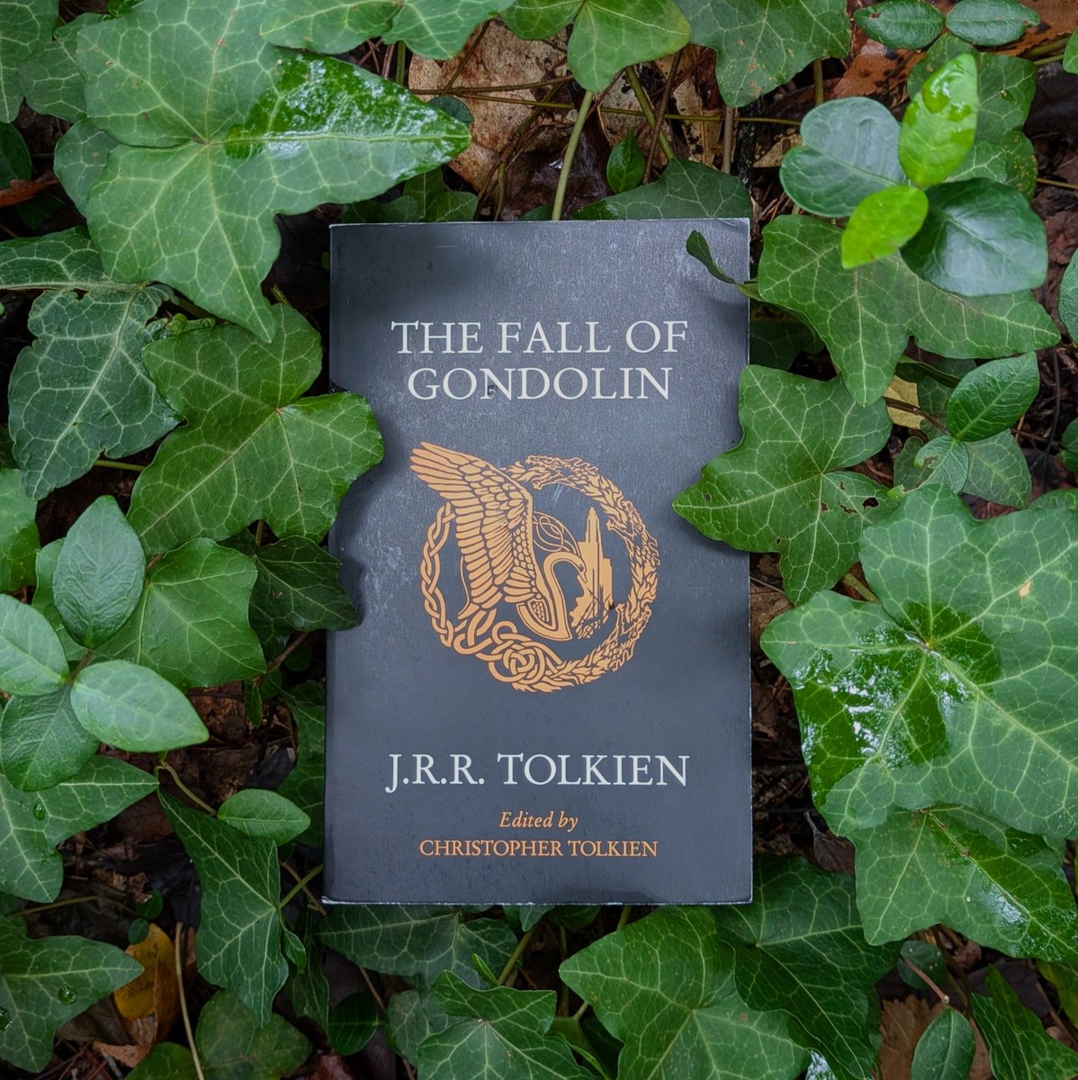 tolkienbookcase's tweet photo. The Fall of Gondolin by J.R.R. Tolkien, edited by Christopher Tolkien, HarperCollins 2022 (Black Edition) #fallofgondolin #jrrtolkien #tolkien #tolkiencollection #tolkienbooks https://t.co/VQikF7GXOY