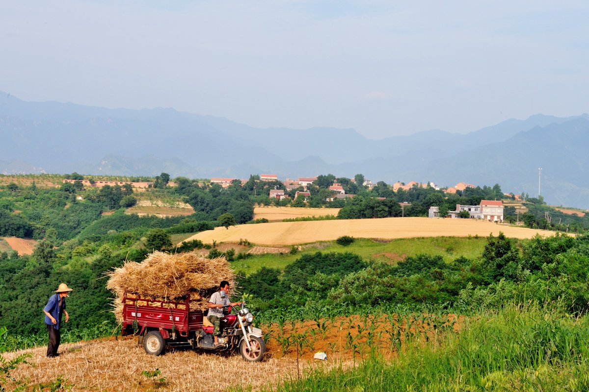 Titoputra8's tweet photo. Today, the rice (稻) swayed gently in the warm breeze, showing (徽) its vitality; the warning (示) of harvest reminded us not to regret (悔) for seizing the moment, as this cozy (温) season is full of hope. https://t.co/IUEFOE4Va1