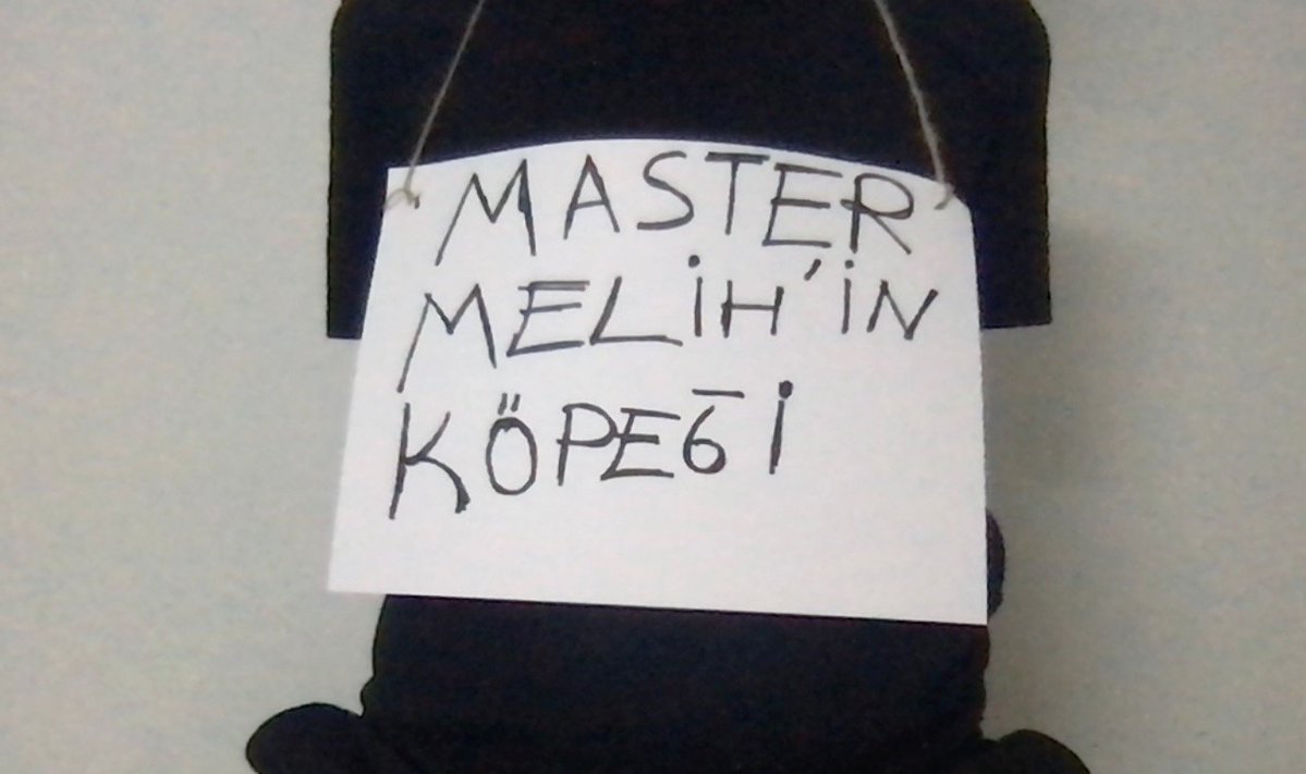 mastermelih3's tweet photo. Minik köpeğimin sürprizi 😂😂😈😈 https://t.co/VKxfzAjAr7