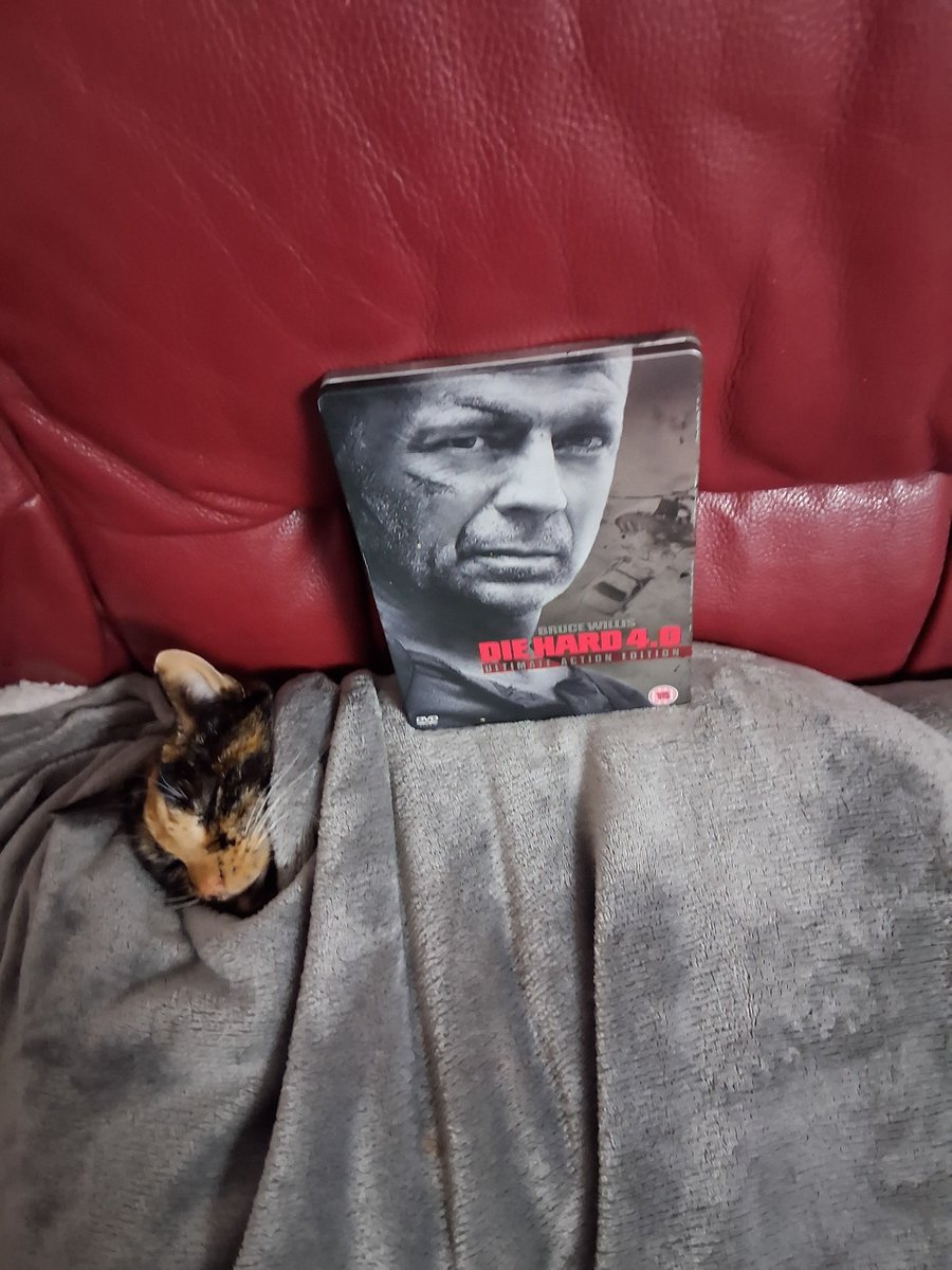HorderCat's tweet photo. Is kammy hording a die hard sb https://t.co/Kj0ETxGNNW