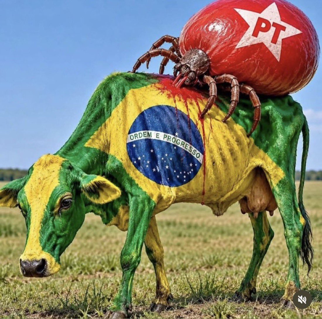 marilenajurisso's tweet photo. @AleDireita https://t.co/XOtahZL9It