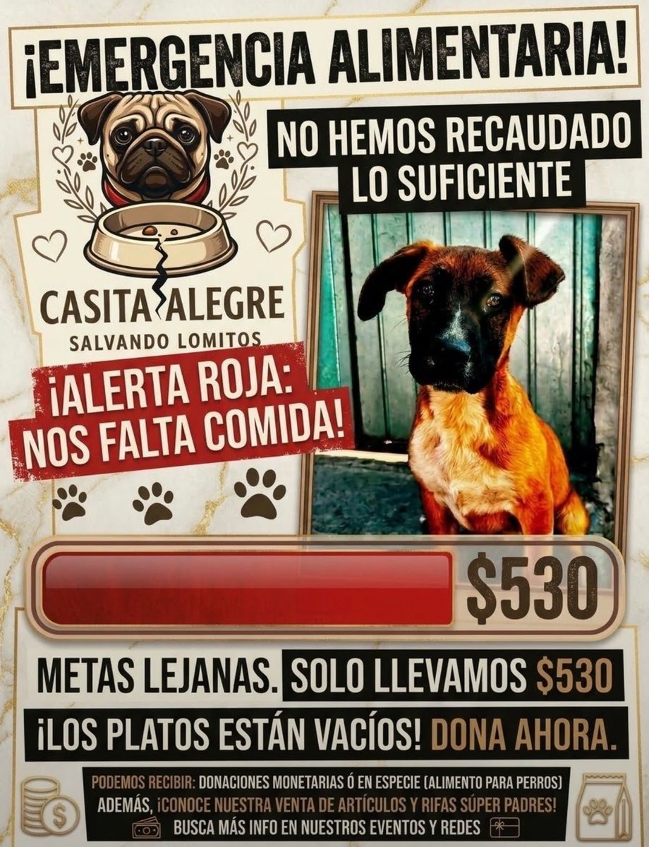 Horacitu's tweet photo. ¿Me ayudan con un RT?

Casita Alegre Salvando Lomitos se encuentra en EMERGENCIA ALIMENTARIA

#adopcionresponsable https://t.co/fnNnZ9FYmv