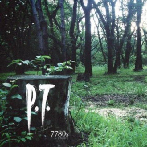 Pirat_Nation's tweet photo. A fan is rebuilding P.T. as a native Windows PC port, reportedly around 97% complete.

The developer is reverse-engineering the PS4 executable and rebuilding the game's logic and rendering in C++ and Vulkan, using original game data from the user's own copy.

The port already supports:

- The full game from the opening screen through the ending
- Original Lua scripts, traps, cutscenes, and Lisa's animations
- Rebuilt Fox Engine rendering, including shadows, reflections, motion blur, bloom, and volumetric fog
- Original Wwise audio, radio broadcasts, and controller vibration
- 60+ FPS instead of the PS4 version's 30 FPS lock
- Any resolution, plus mouse and keyboard
- DualSense, Xbox, and other controllers
- Optional AMD FSR 3.1

The developer is also comparing the PC port against the original PS4 version frame-by-frame to get as close to 1:1 as possible.